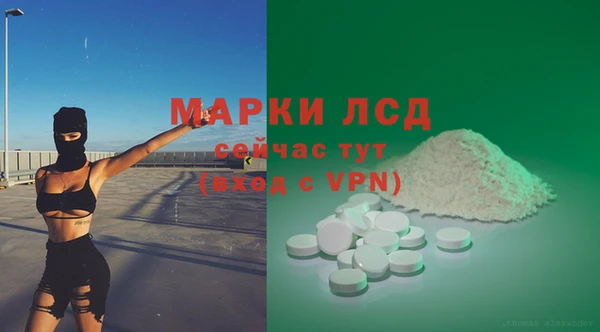 хмурый Белокуриха