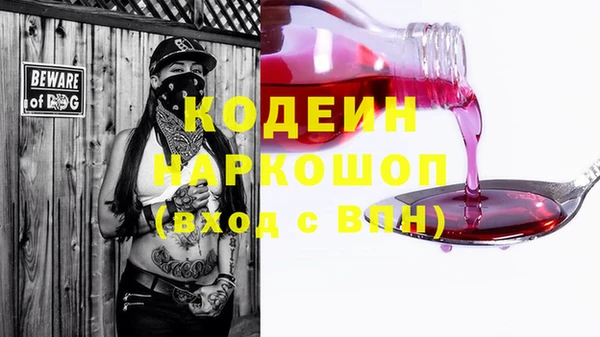 хмурый Белокуриха
