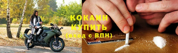 хмурый Белокуриха
