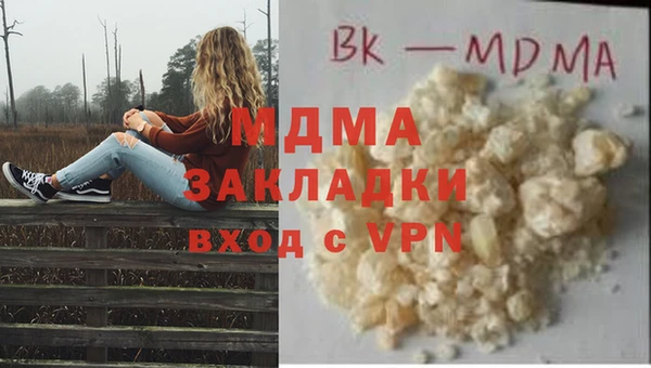 хмурый Белокуриха