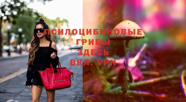 хмурый Белокуриха
