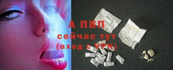 спайс Беломорск