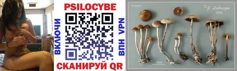 Галлюциногенные грибы Psilocybe  Купить  Сим 